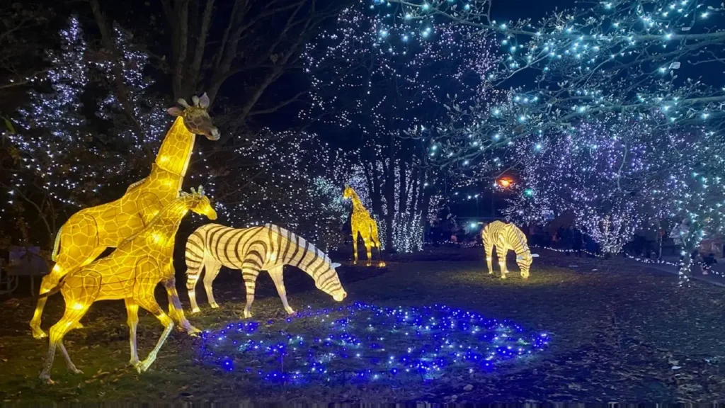 Cincinnati Zoo's Festival of Lights