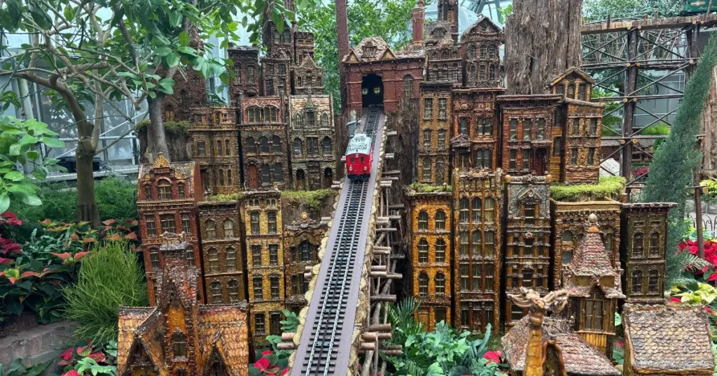 Festival of Ferns at Krohn Conservatory